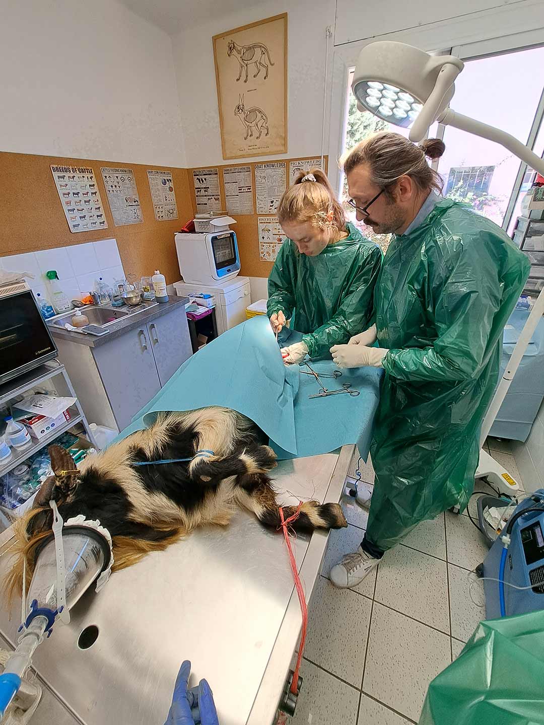 Vétérinaire rural Julien Avon et son équipe