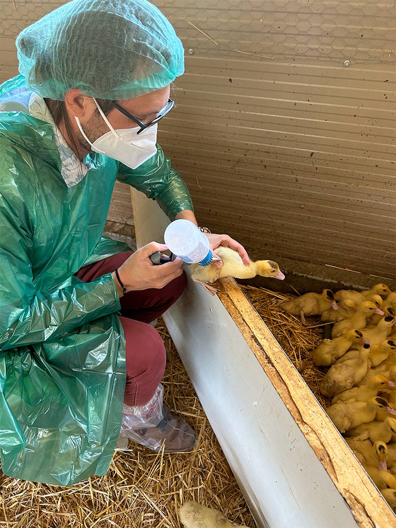 Vétik Provence vétérinaire rural audit d'élevage