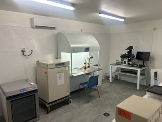 Salle de FIV et ICSI à air filtré, microscope inversé