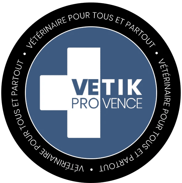 Logo Vetik Provence